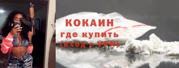 шишки Михайловск