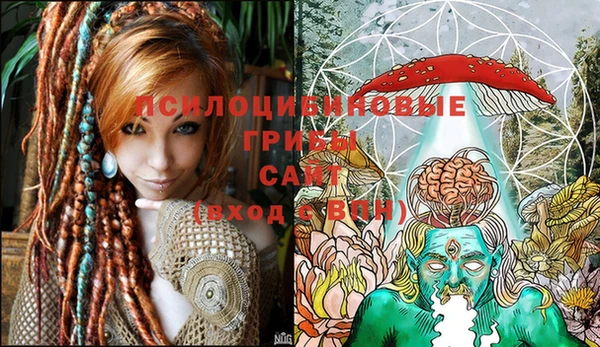 шишки Михайловск