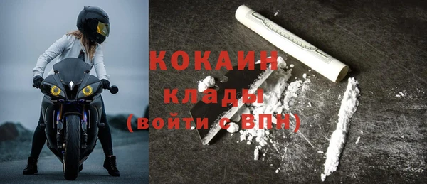 шишки Михайловск