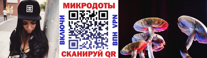 Галлюциногенные грибы Magic Shrooms Качканар