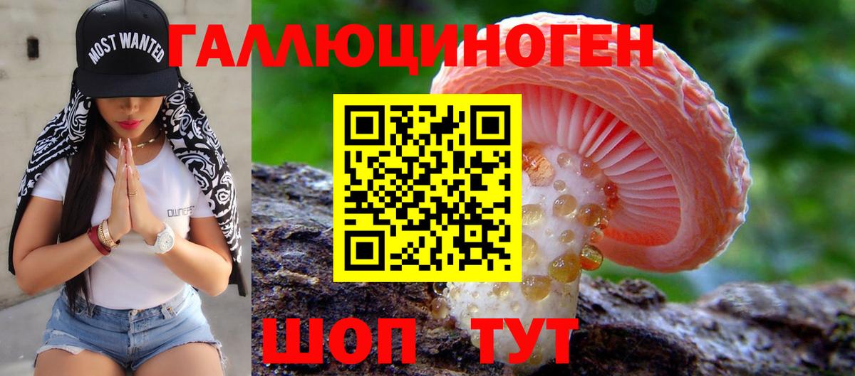 Псилоцибиновые грибы MAGIC MUSHROOMS Качканар
