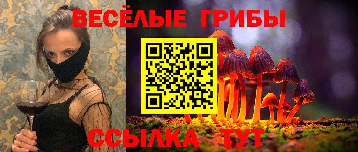 Галлюциногенные грибы мухоморы  Вход с VPN  Качканар  Галлюциногенные грибы мицелий 