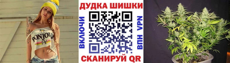 МАРИХУАНА сатива Качканар