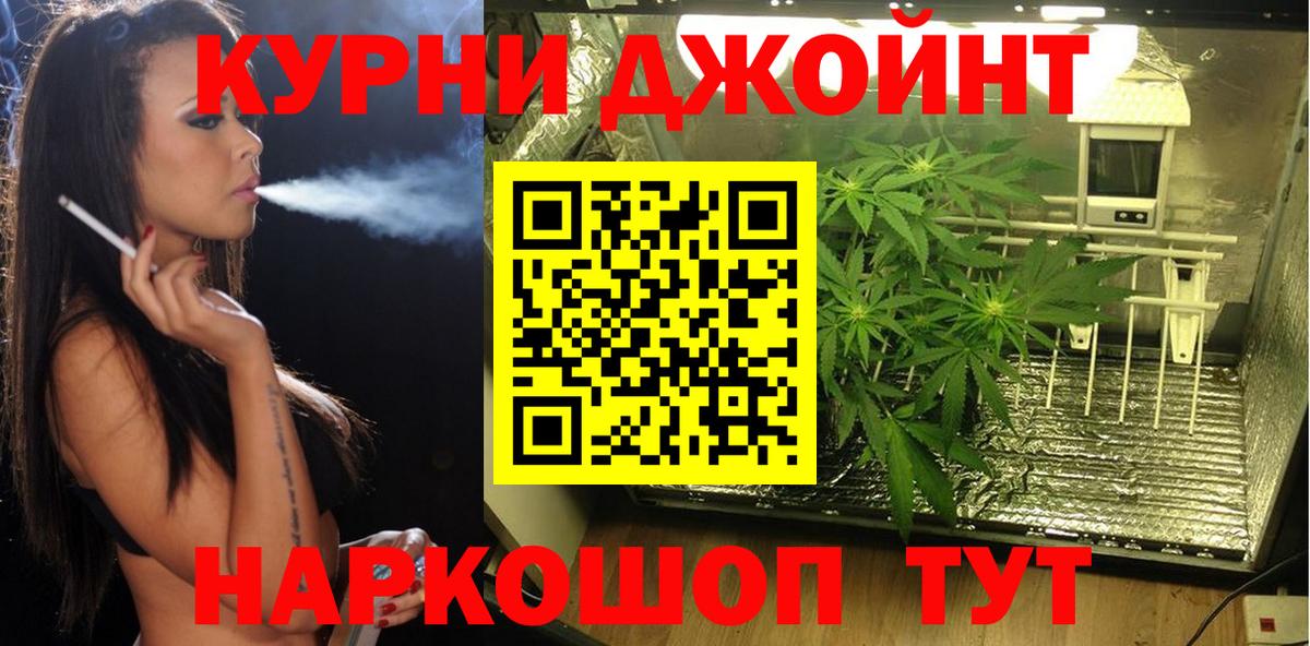 Конопля план Качканар
